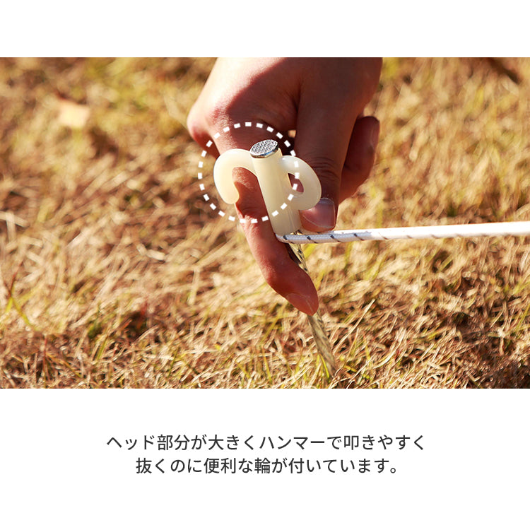 バタフライタープ