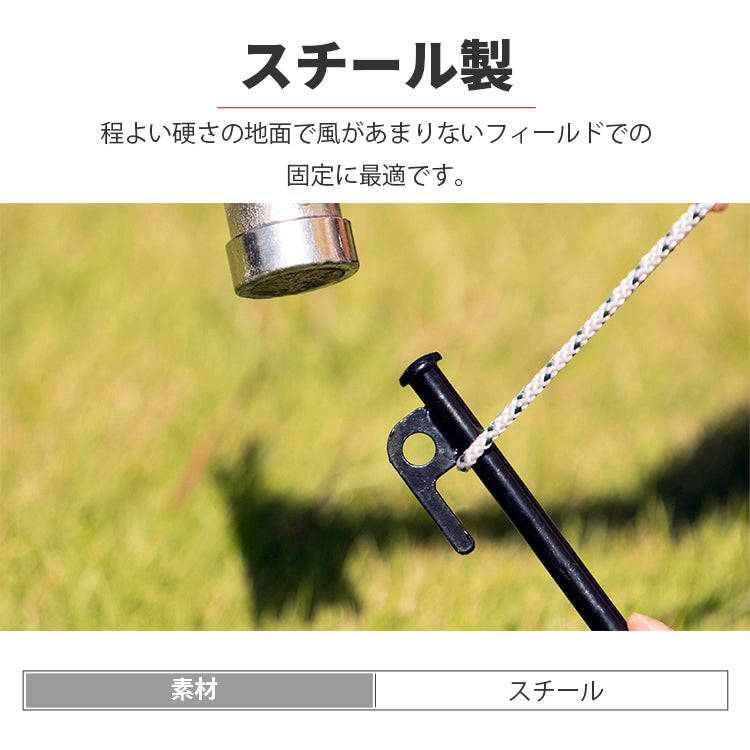 ペグセット12本