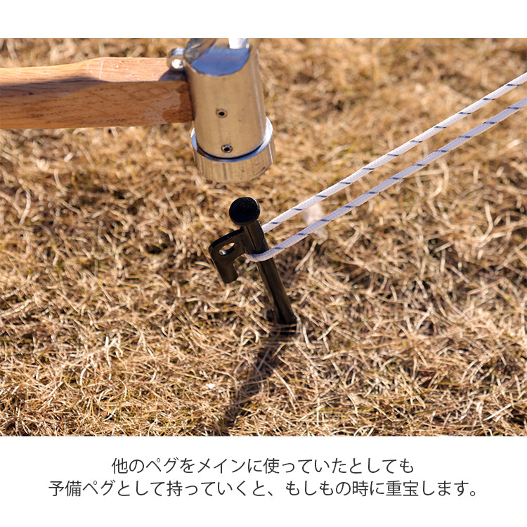 ペグセット12本