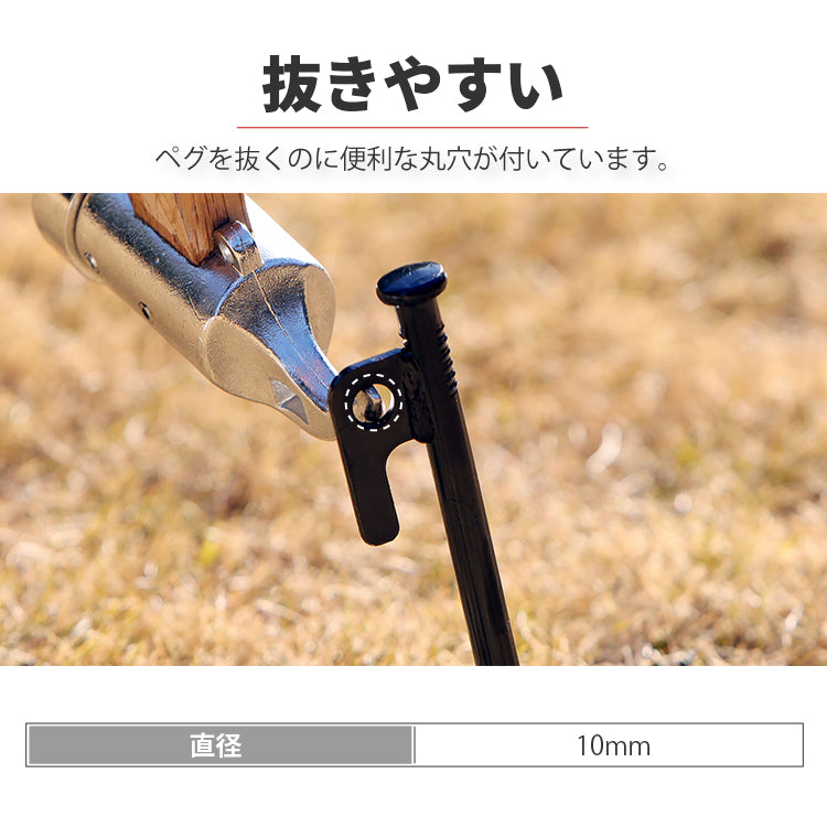 ペグセット12本